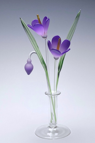 glass crocus flower set